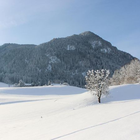 Ferienhaus Weber-Haeusl Reith im Alpbachtal Eksteriør billede