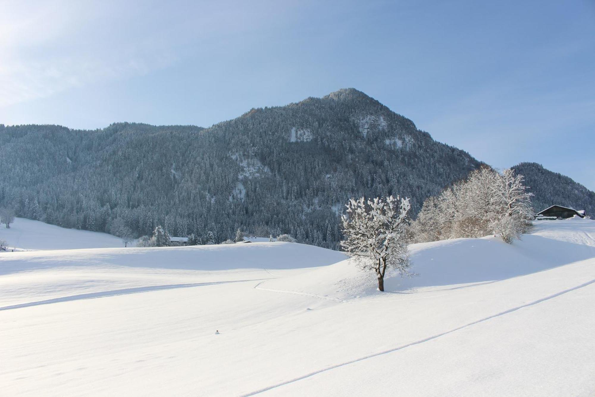 Ferienhaus Weber-Haeusl Reith im Alpbachtal Eksteriør billede